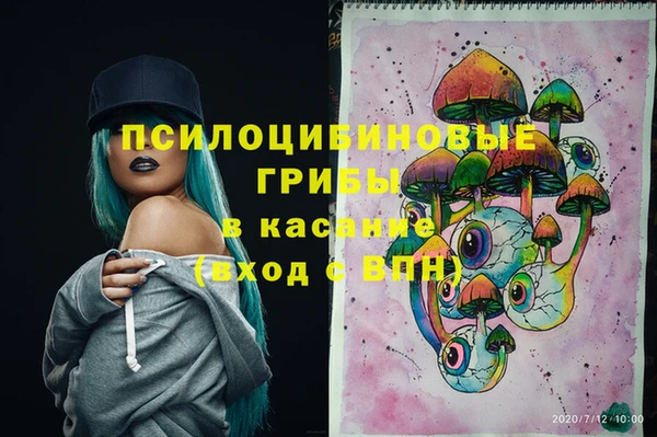 ПСИЛОЦИБИНОВЫЕ ГРИБЫ Гусиноозёрск
