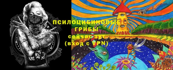 экстази Гусь-Хрустальный