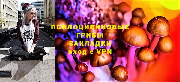 экстази Гусь-Хрустальный